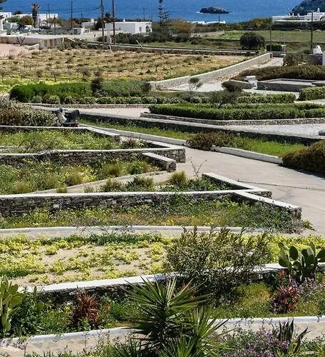 Parian Philoxenia Villa, Mikri Santa Maria * Naousa